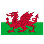 Wales U19