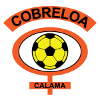 Home Club Logo